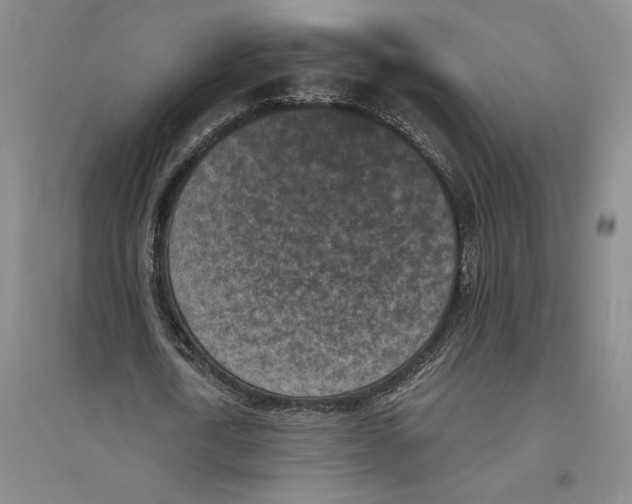 X0000094070722200711161546