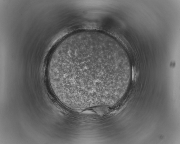 X0000094070723200711161546