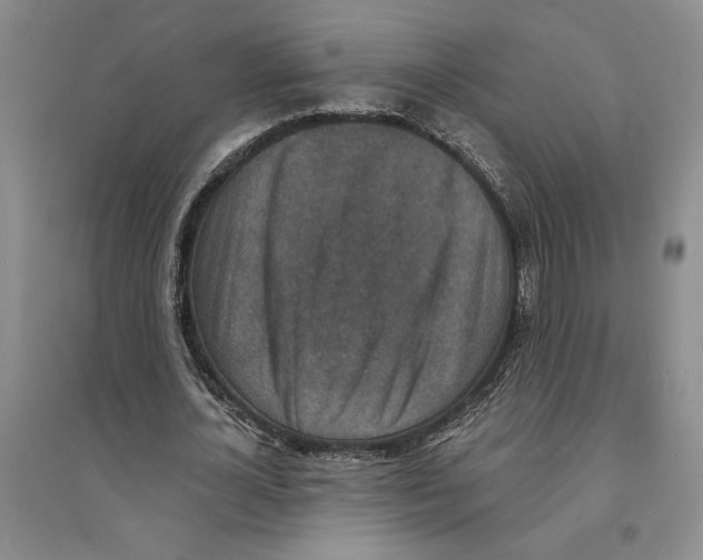 X0000094070724200711161546