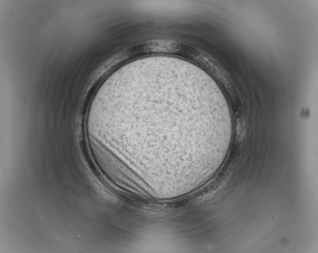 X0000094070725200711161546