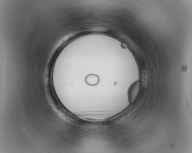 X0000094070726200711161546