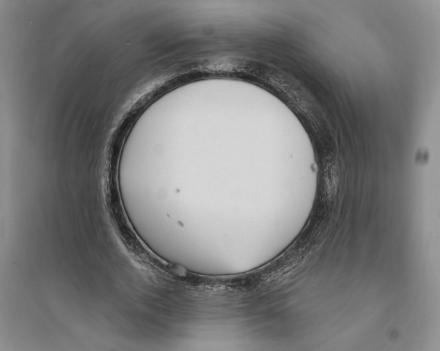 X0000094070728200711161546