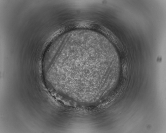 X0000094070729200711161546