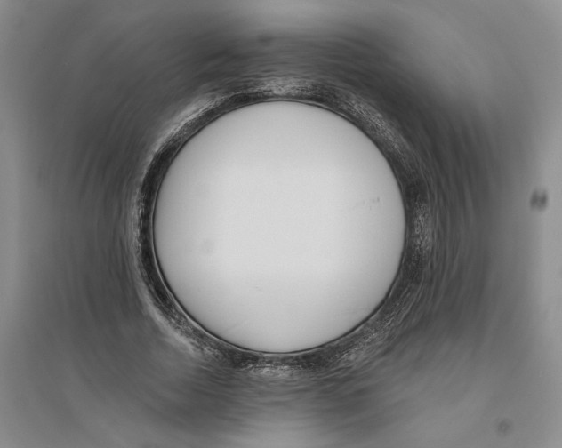 X0000094070730200711161546