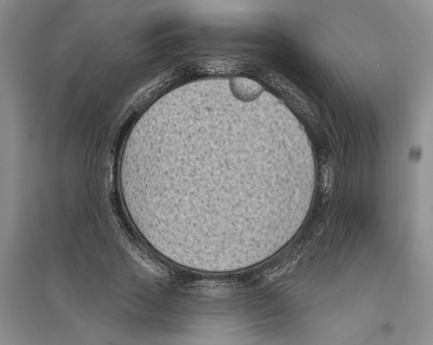 X0000094070733200711161546