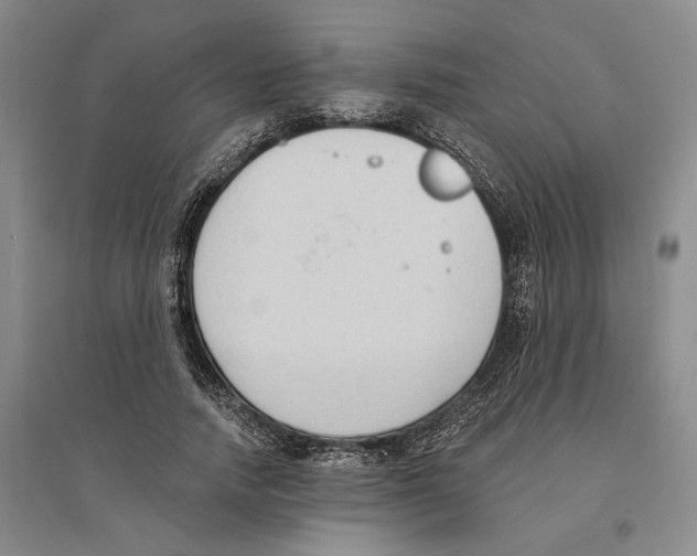 X0000094070738200711161547
