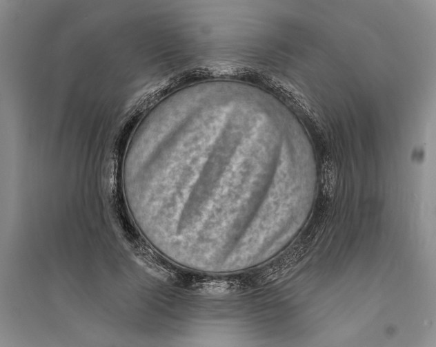 X0000094070740200711161547
