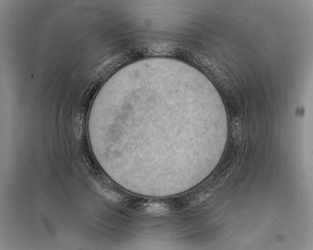 X0000094070741200711161547
