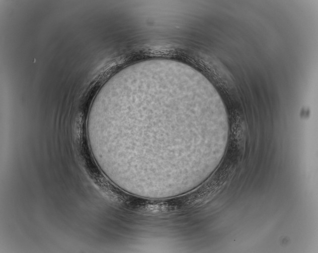 X0000094070744200711161547