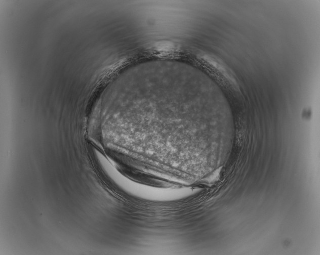 X0000094070748200711161547