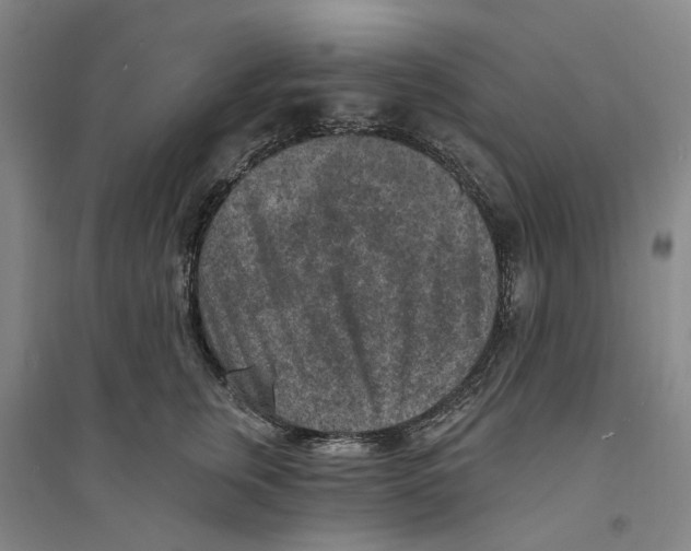 X0000094070759200711161547