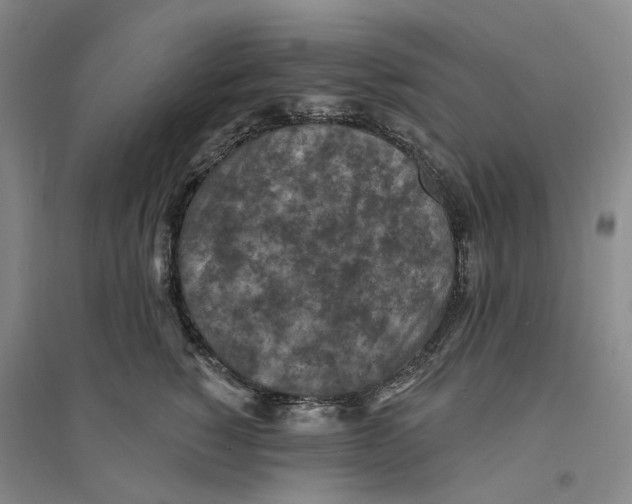 X0000094070760200711161547