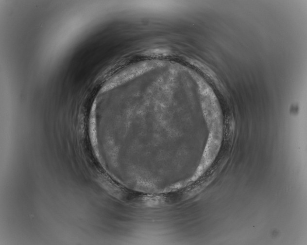 X0000094070762200711161547