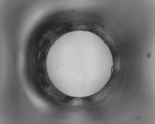 X0000094070764200711161547