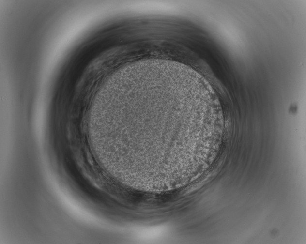 X0000094070765200711161547