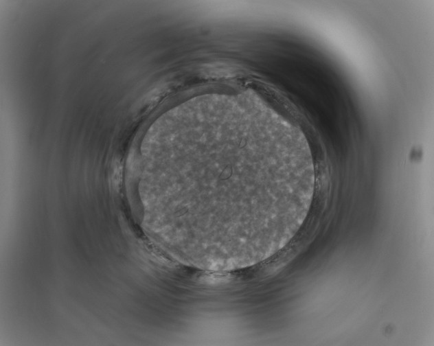 X0000094070767200711161547