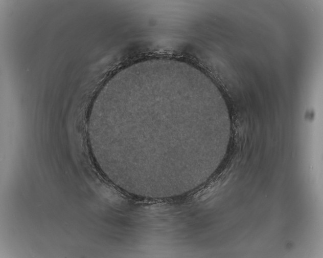 X0000094070769200711161546