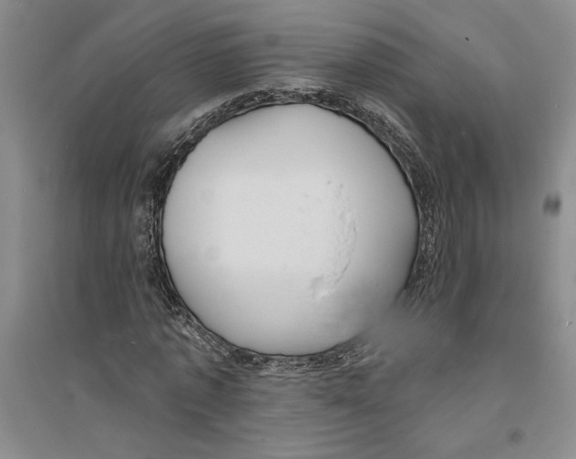 X0000094070773200711161546