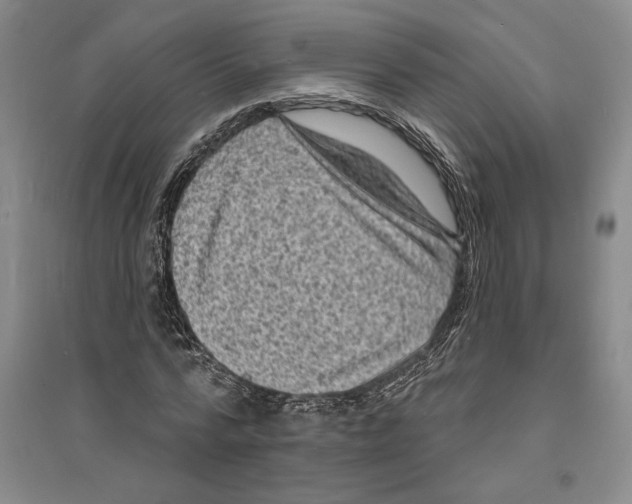 X0000094070776200711161546