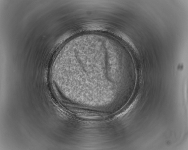 X0000094070777200711161546