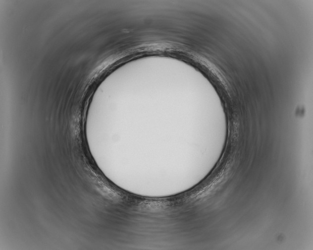 X0000094070778200711161546