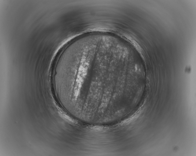 X0000094070779200711161546