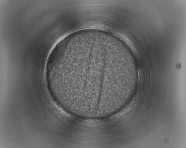 X0000094070780200711161546