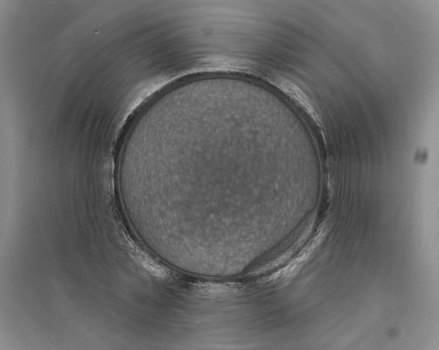 X0000094070781200711161546