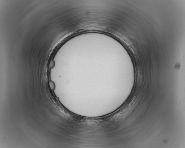 X0000094070782200711161546