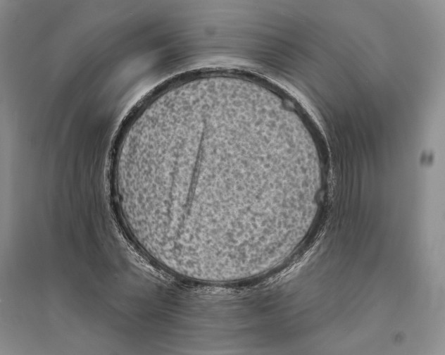 X0000094070783200711161546