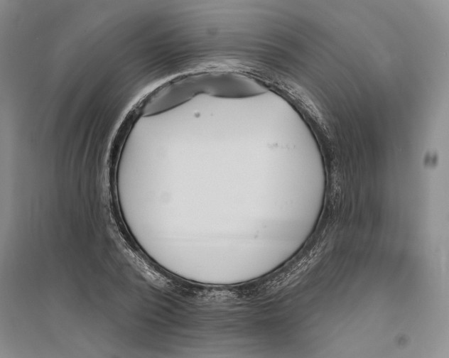 X0000094070784200711161546