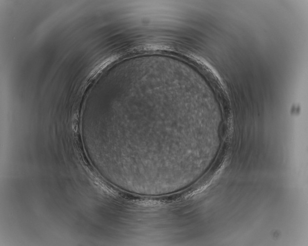 X0000094070785200711161546