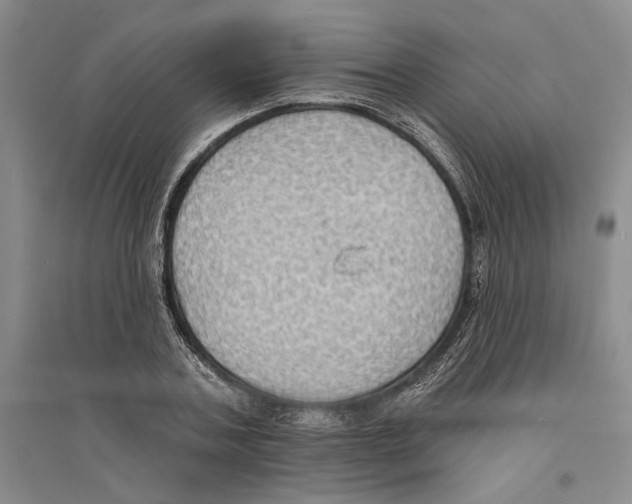 X0000094070787200711161546