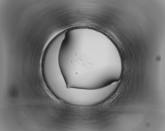 X0000094070788200711161546
