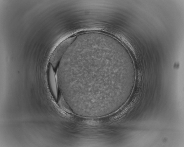 X0000094070789200711161546