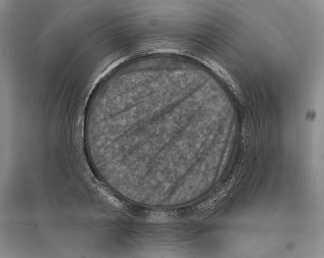 X0000094070790200711161546