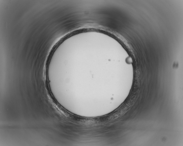 X0000094070791200711161546