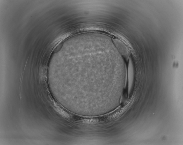 X0000094070793200711161546
