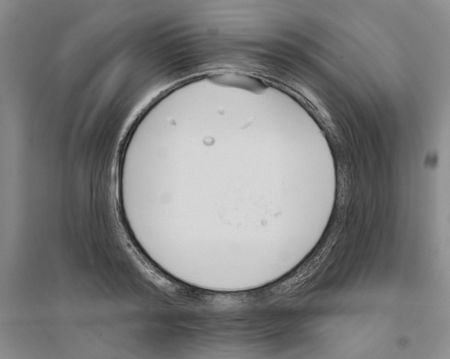 X0000094070796200711161546