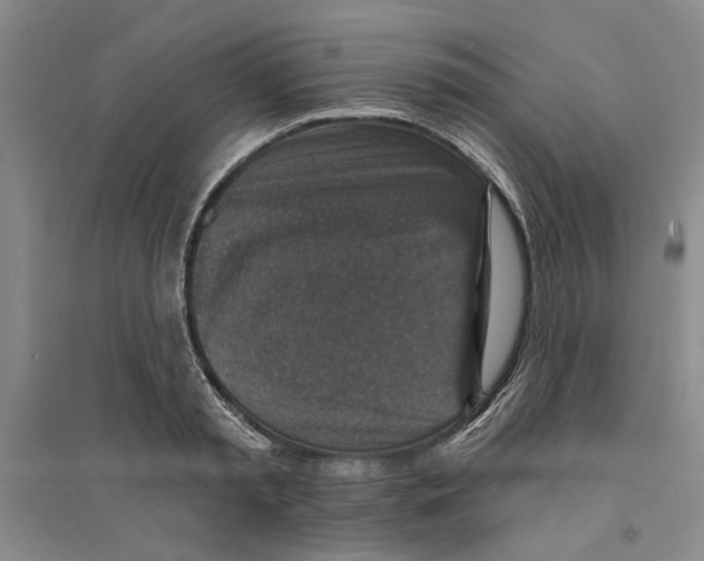 X0000094070797200711161546