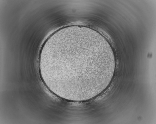 X0000094070800200711161546