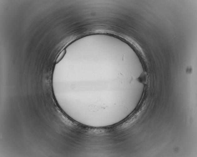 X0000094070801200711161546