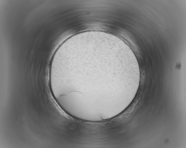 X0000094070804200711161546