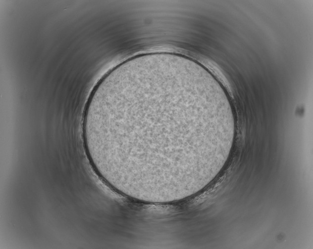 X0000094070805200711161546