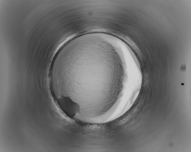 X0000094070806200711161546