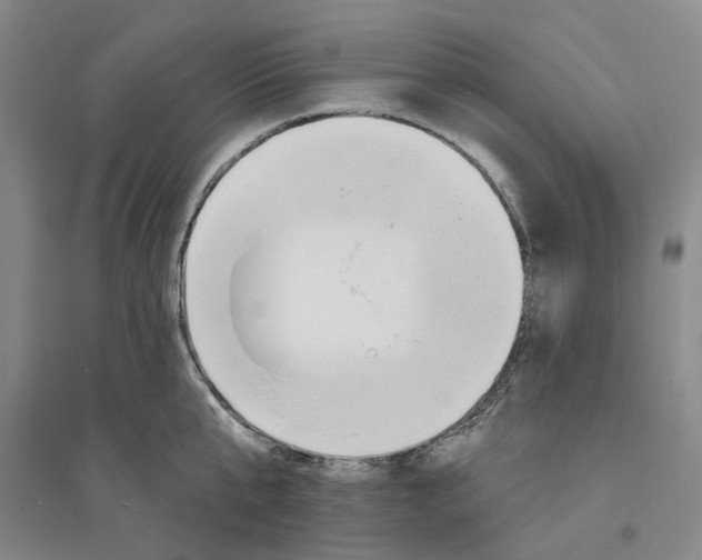 X0000094070807200711161546