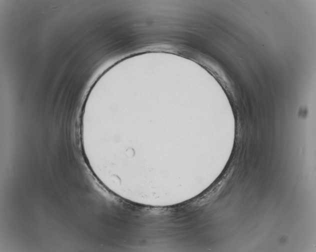 X0000094070808200711161546