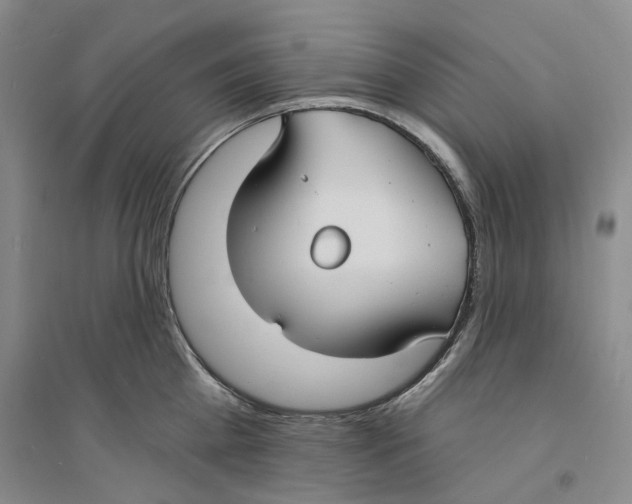 X0000094070809200711161546