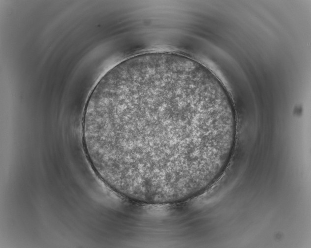 X0000094070810200711161546