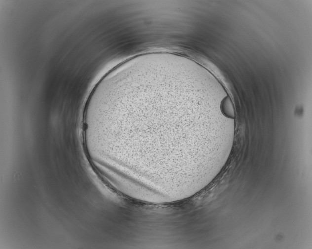X0000094070811200711161546